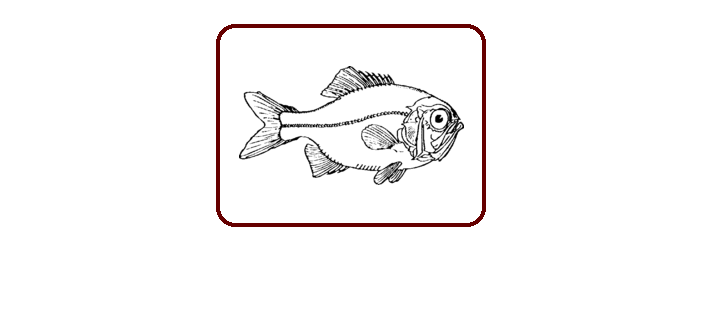 fishes coloring pages